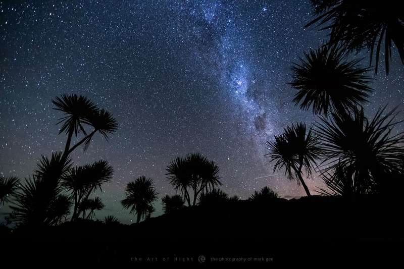 palm trees, Mark Gee, the sky, night, photographer, 1080P, meteor, stars