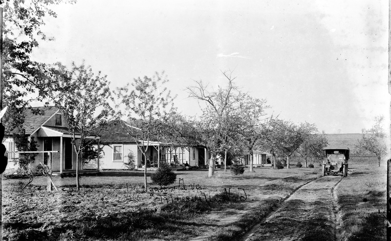 new, titusville, opdyke, glassnegative, tree, built structure, Vintage, road, house, photography, opdycke, no people, nrhp, nationalregisterofhistoricplaces