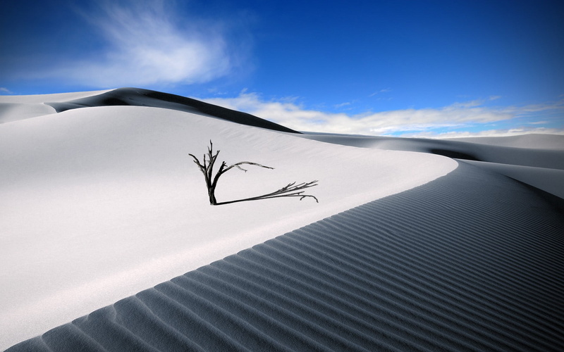 beauty in nature, environment, tree, mode of transportation, 1080P, scenics - nature, desert, blue, sand dune, clouds, outdoors, sky, flying, white, no people