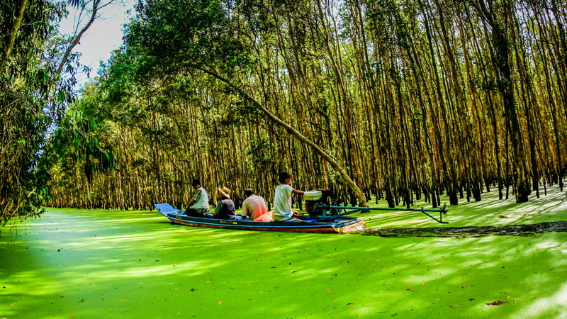 granary, 1080P, hd, mekong, giang, long, quadrangle, delta, largest, detsktop, xuyen, known