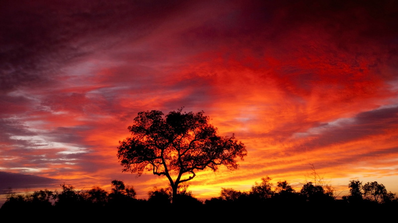 4K, sunset, cloud - sky, africa, tree, tranquility, landscape, hd, beauty in nature, outdoors, red, plant, scenics - nature, south, idyllic, eclipse, environment