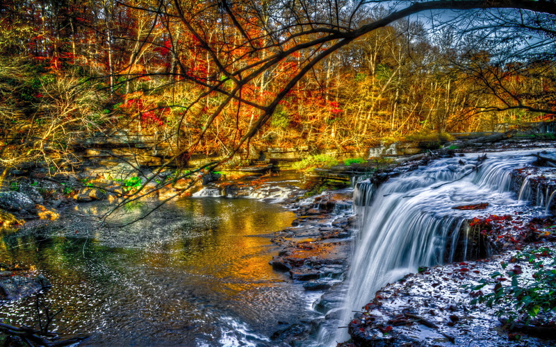 hd, mobile, forest, motion, scenics - nature, fall, beautiful, flowing, nature, no people, pc, change, autumn, red, outdoors, water, tablet