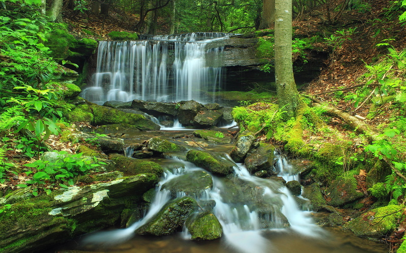 no people, laptop, falls, mobile, moss, beauty in nature, green color, forest, outdoors, rocks, land, stream - flowing water, tablet, blurred motion, cucumber