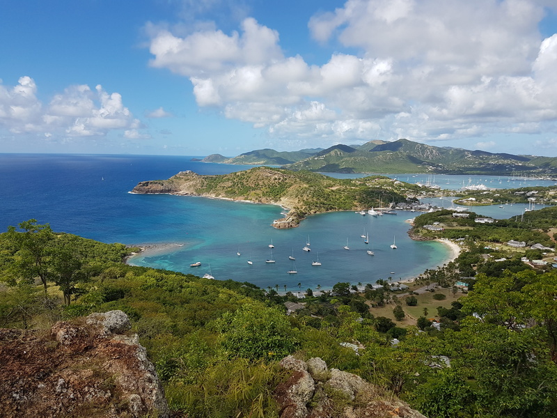 view, sea, waters, horizon, no people, plant, antigua, nature, horizon over water, beach, tranquil scene, high angle view, beauty in nature, tranquility