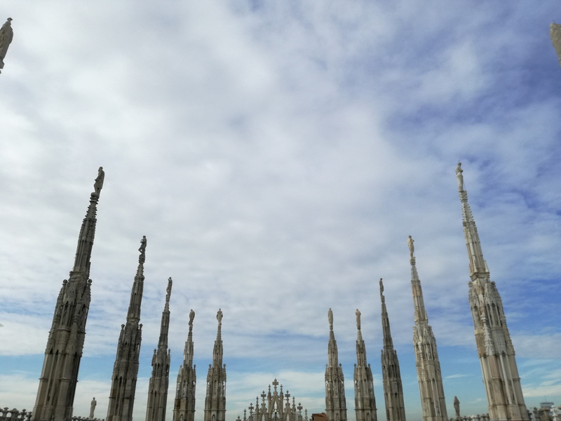 duomo, construction site, tree trunk, cathedral, orchestra, construction industry, day, catholic, 4K, architecture, tree, nature, sky, angels, jesus, no people