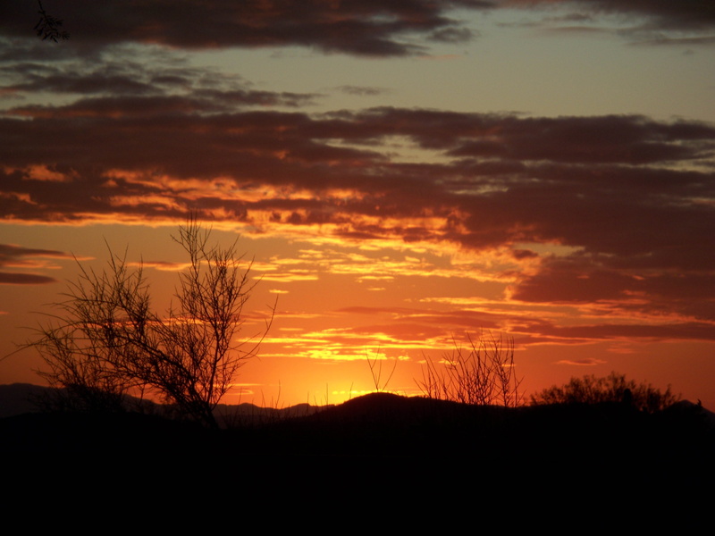 plant, non-urban scene, tree, orange color, dramatic sky, southwest, sunset, tranquil scene, dark, scenics - nature, sky, idyllic, outdoors, arizona, bare tree