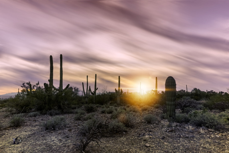 dry, sky, sunrise, beauty in nature, hour, travel, dramatic sky, environment, evening, national park, golden, orange, tranquil scene, arid, outdoor, field