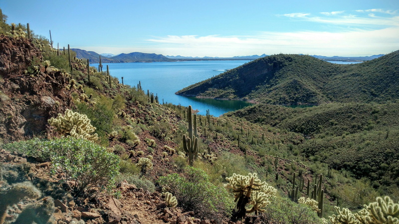 no people, tree, tranquility, park, lagoon, sea, water, beach, land, tranquil scene, cloud - sky, 4K, southwestern, desert, nature, lake pleasant, plant