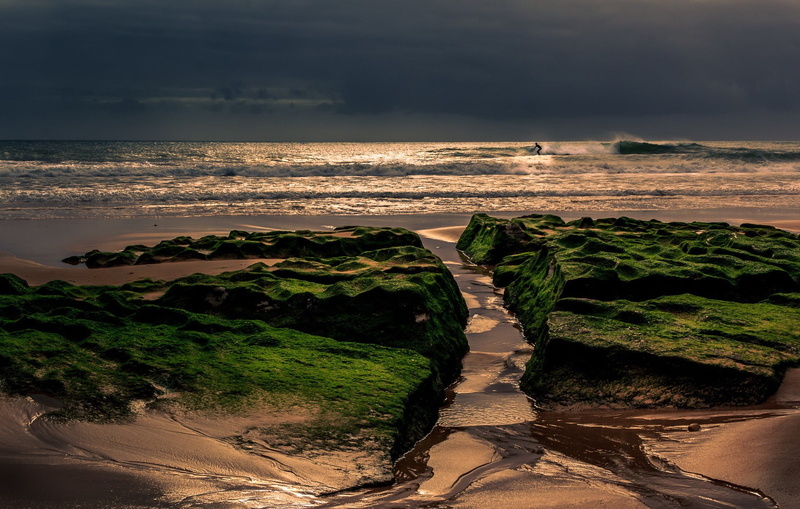 tranquil scene, scenics - nature, beauty in nature, landscape, beach, outdoors, environment, surfers, sky, sunlight, 1080P, plant, water, table, tranquility