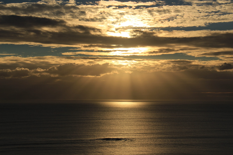 no people, horizon over water, sky, non-urban scene, sunlight, waterfront, cloud - sky, new zealand, horizon, maori bay, scenics - nature, ocean, idyllic