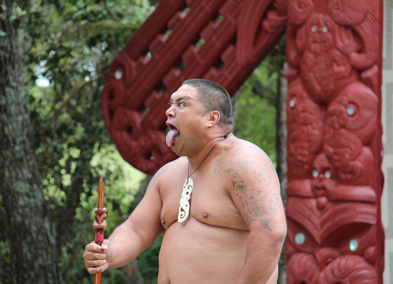 culture, focus on foreground, stick, portrait, day, adult, holding, religion, one person, 4K, making a face, occurs, maori, man, waitangi, looking away