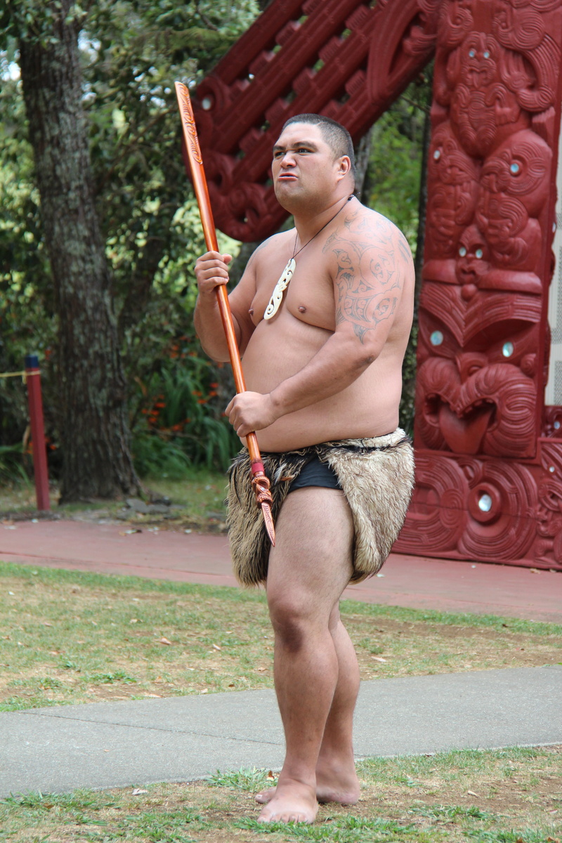 adult, casual clothing, attack, grim, looking, waitangi, portrait, front view, new zealand, culture, standing, outdoors, Man, real people, Maori, Warrior