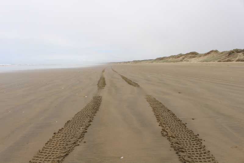 tranquil scene, climate, sand dunes, new, arid climate, semi-arid, attraction, ninety mile beach, beauty in nature, ninety, outdoors, 5K, New Zealand