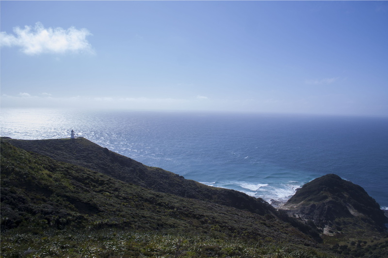 standing, people, native, non-urban scene, cliff, scenics - nature, horizon over water, cape reinga, at the edge of, tress, day, sea, land, horizon, tranquil scene