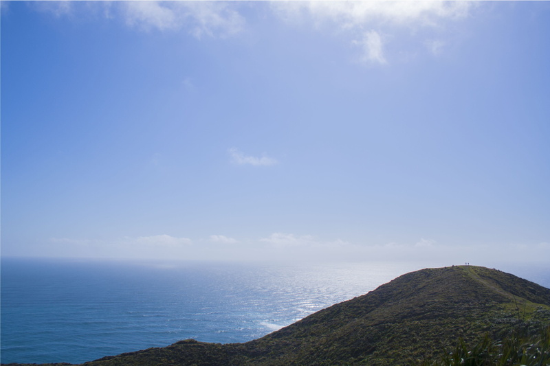 scenics - nature, water, cloud - sky, ocean, cliff, sky, day, top, waves, cape reinga, tranquil scene, sea, no people, land, people, horizon over water
