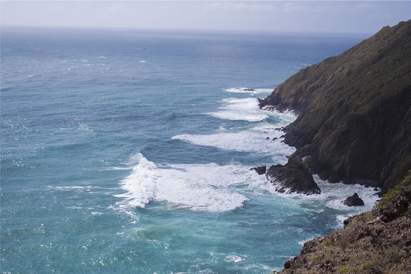 tranquil scene, trees, rock, day, sea, outdoors, no people, tress, 2K, tranquility, ocean, new zealand, rock formation, cape reinga, solid, waves, water