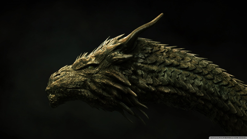 animal wildlife, 2K, copy space, fantasy art, head, focus on foreground, gray, indoors, dragon, bird of prey, animals in the wild, vertebrate