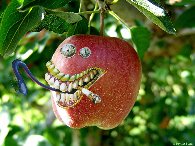 crazy, 1080P, hd, smoke, apple, tongue, teeth, fruit, nature, tree, hang