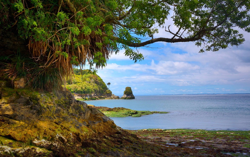 dock, landscape, nature, growth, water, Chile, outdoors, tree, rock formation, leaf, plant, land, green, day, beach, clouds, rock, sky, 1080P, tranquil scene
