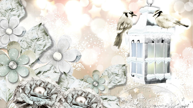 1080P, shiny, light, abstract, day, snow, birds, winter, nature and landsca, flowers, leaves, frost, lamp