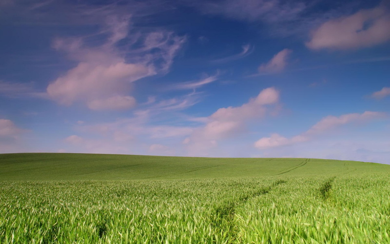 green, wide, lscape, grass, daylight, spreadout, nature and landsca, paddy, clouds, nature, 1080P, field, landscape