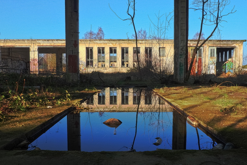 window, graffiti, broken, forget, pforphoto, blue, old, day, water, mood, plant, mode of transportation, destruction, building, shabby, decay, passed, bare tree