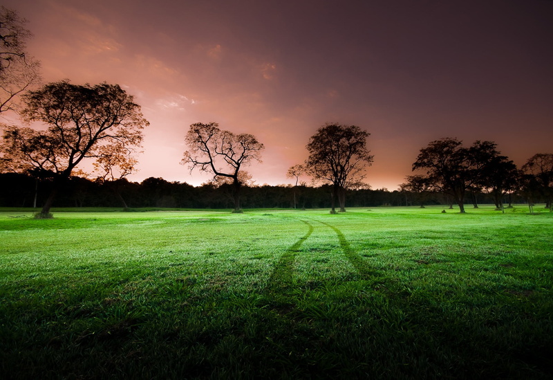 field, scenics, golf, scenics - nature, no People, rural Scene, lawn, green, environment, morning, cloud - sky, sun, nature, golf Course, cool, park - Man Made Space