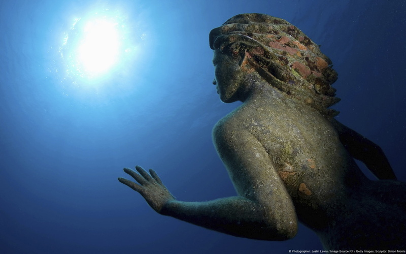 anfeite, marine, day, animal representation, underwater, nature, no people, laid, 1080P, water, cayman, representation, windows, animal themes, one animal