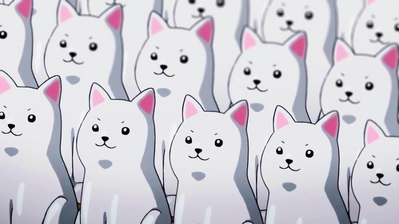 Laid-Back Camp, Minimalist, Anime, 1080P, Manga, Dog