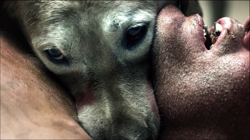 dark, comedy, abcs, dog, 1080P, evil, anthology, horror, death