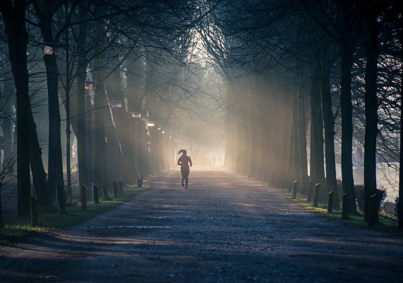 footpath, direction, fog, walking, person, tall, transportation, the way forward, rear view, morning, forest, real people, plant, woodland, trees, one person