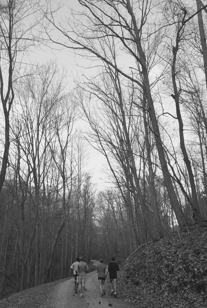 togetherness, running, rear view, walking, men, run, road, 4K, two people, united states, bare tree, people, real people, tranquility, tree, track, land