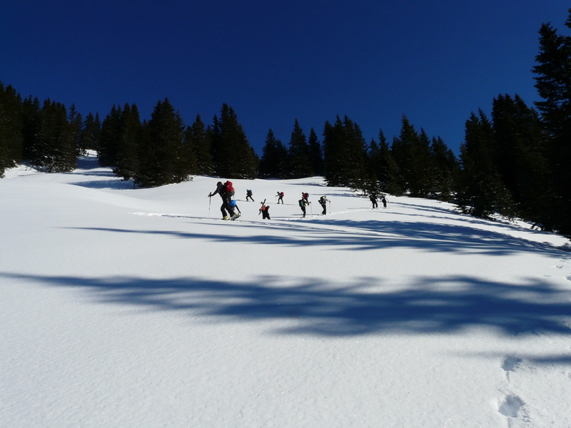 cross-country Skiing, snow, rise, backcountry skiiing, shadow, skiing, outdoors, people, wintry, Backcountry, nature, sky, scenics - nature, pattern, plant