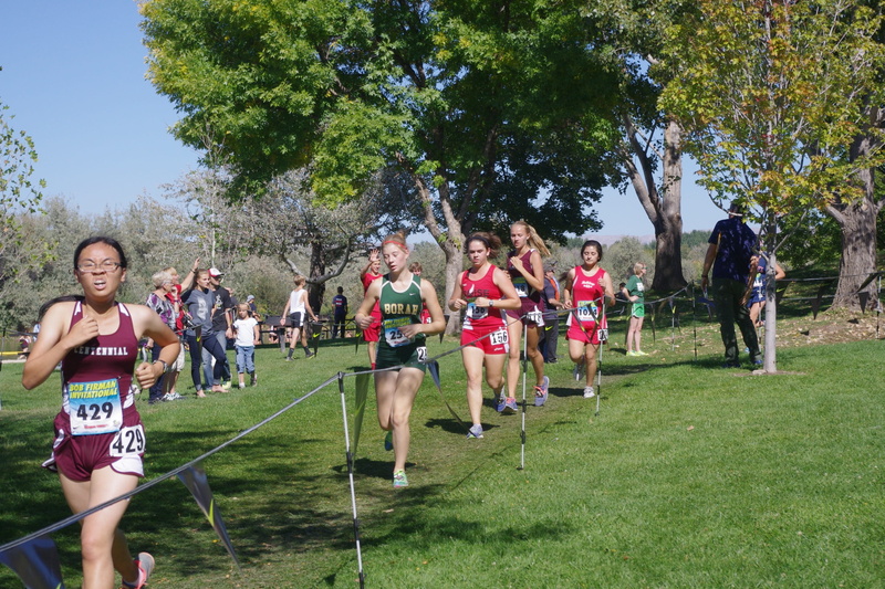 full length, mid adult, Race, medium group of people, leisure activity, enjoyment, large group of people, nature, running, athlete, group of people, cross country