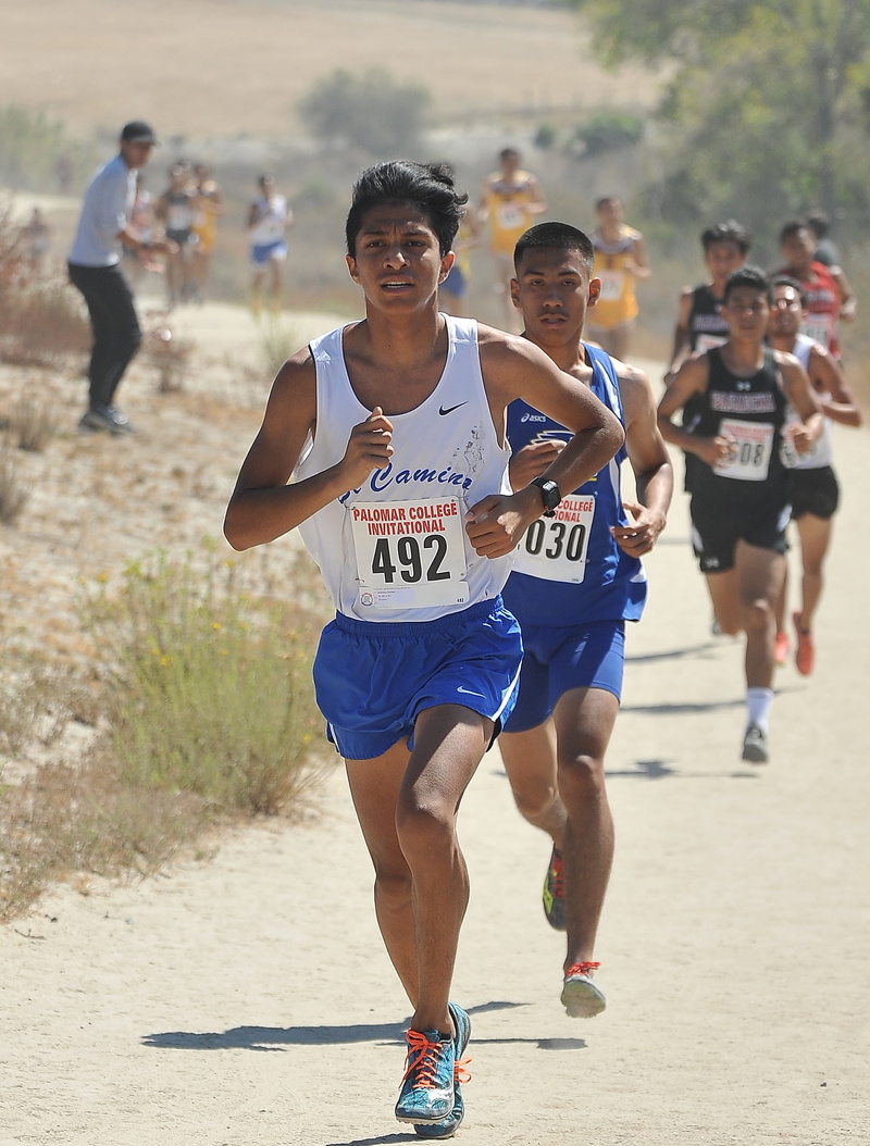 people, running, lifestyles, motion, leisure activity, competition, sunlight, healthy lifestyle, teenager, group of people, 1080P, day, sports race, marathon