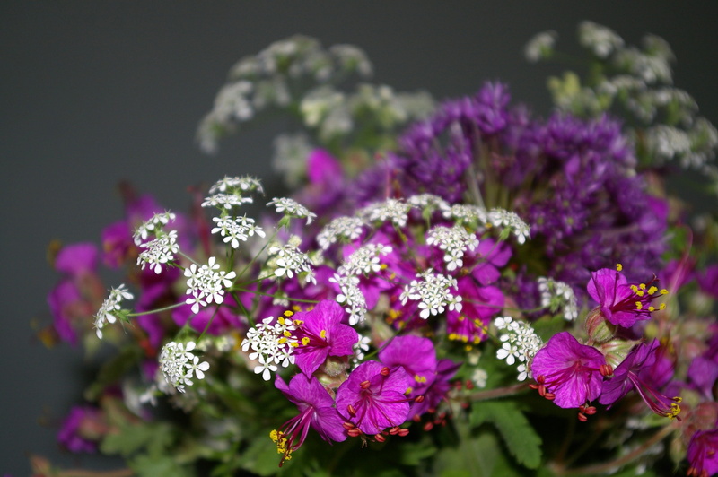 give away, filigree, birthday card, growth, plant, bouquet of flowers, fragility, bunch of flowers, day, food and drink, 2K, outdoors, flower, freshness