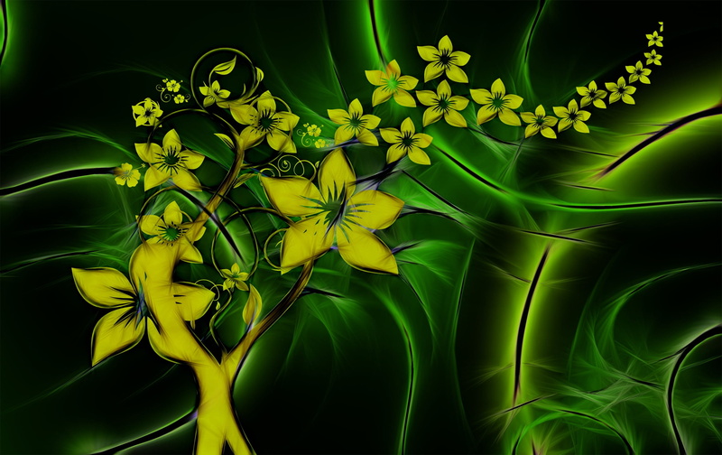 plant part, flowering plant, freshness, green color, leaf, creativity, map, filigree, fragility, indoors, flora, beauty in nature, plant, petaled, no people