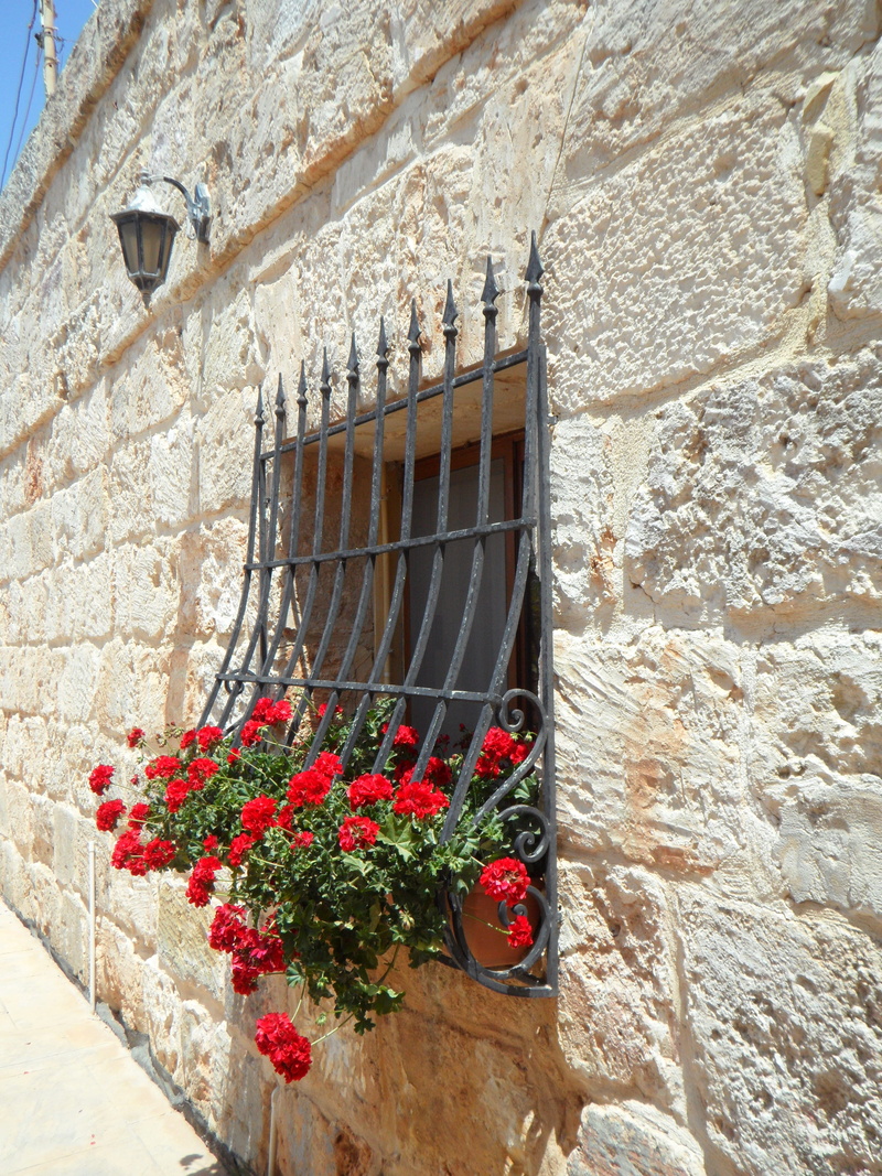 flower head, day, flower, low angle view, flowering plant, architecture, wall - building feature, freshness, verschnörkelt, potted plant, nature, stone wall