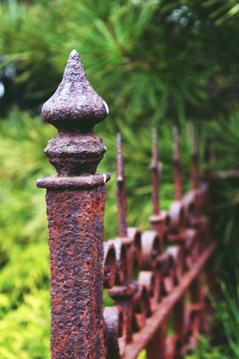 iron construction, limit, decline, day, nature, field, old, garden, boundary, Stainless, plant, art forging, metal fence, post, tree, rusty, curlicue, Fence