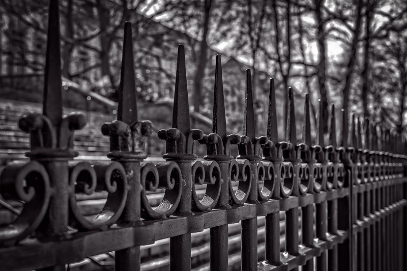 day, 5K, iron, fence, safety, grid, art, security, ornament, selective focus, close-up, no people, protection, black white, pattern, close up, tree, curlicue