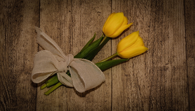 high angle view, spring flowers, yellow flowers, Tulips, fragility, petal, nature, beauty in nature, no people, mesh, food and drink, healthy eating, still life