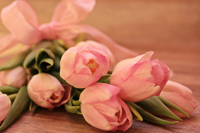 early bloomer, softness, vulnerability, map, tenderness, loop tape, focus on foreground, bunch of flowers, frühlingsanfang, flower head, lying, spring flower