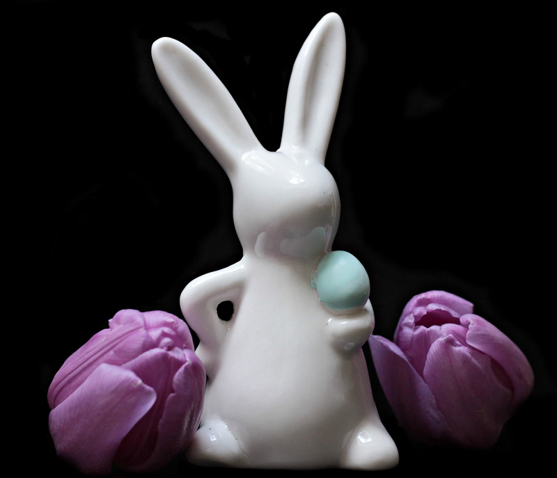 rabbit, creativity, no people, white color, figuirne, hare, close-up, violet, purple, flora, greeting card, spring, schnittblume, tulips, tulipa, frühlingsanfang