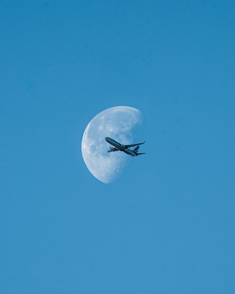 illustration, wind, planetary moon, blue, wings, aviate, aviation, animal, outdoors, moon, no people, flying, one animal, daylight, copy space, gray, beauty in nature