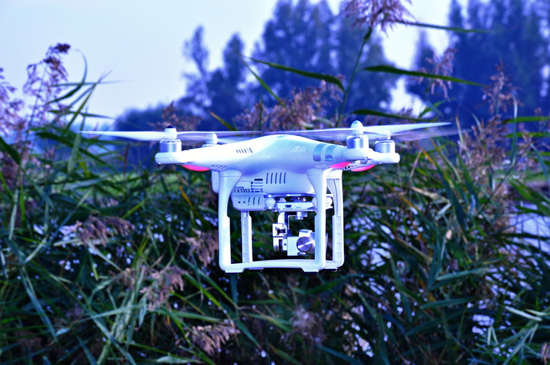 remote, aviation, text, rotorcraft, leaf, green, information sign, air vehicle, airplane, information, daytime, no people, drone, dji, near, tree, unmanned