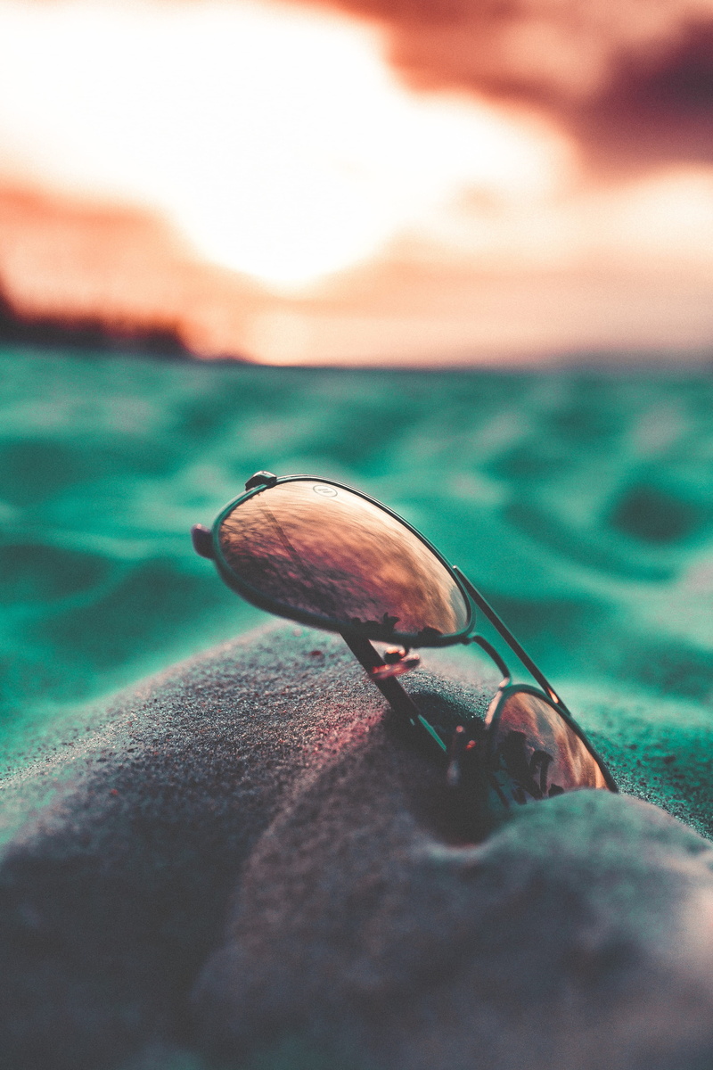 focus, photography, insect, 4K, animal, selective focus, gastropod, bokeh, orange, black, reflection, lens, invertebrate, style, mollusk, animals in the wild