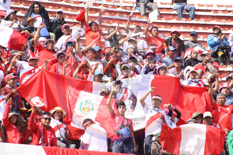 russia 2018 qualifiers, group of people, peruvian selection, adult, real people, red, fan - enthusiast, women, spectator, sport, celebration, peace, men