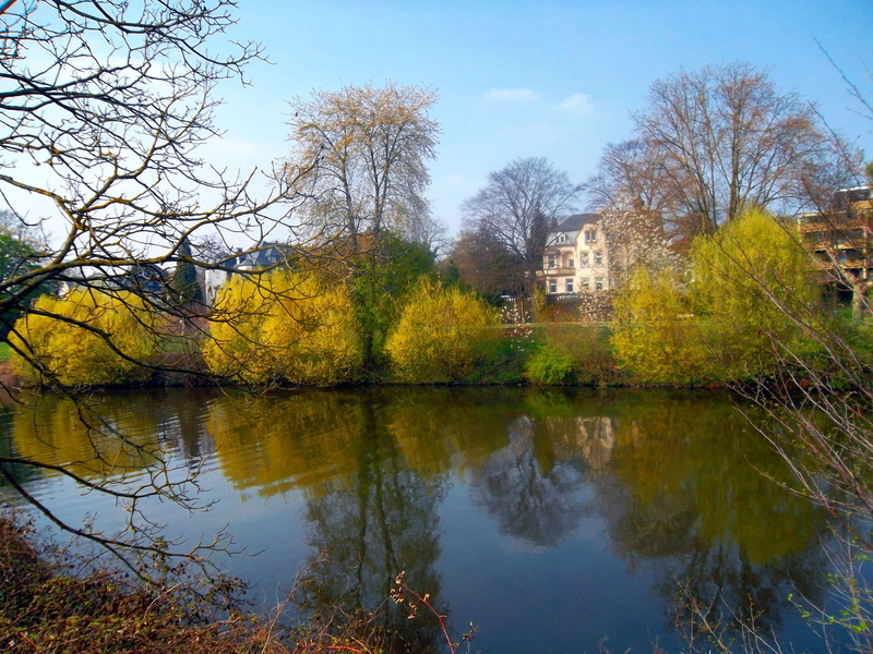tree, autumn, tranquility, building, nature, Saar, Water, beauty in nature, waterfront, Spring, day, plant, architecture, outdoors, no people, 1080P, scenics - nature