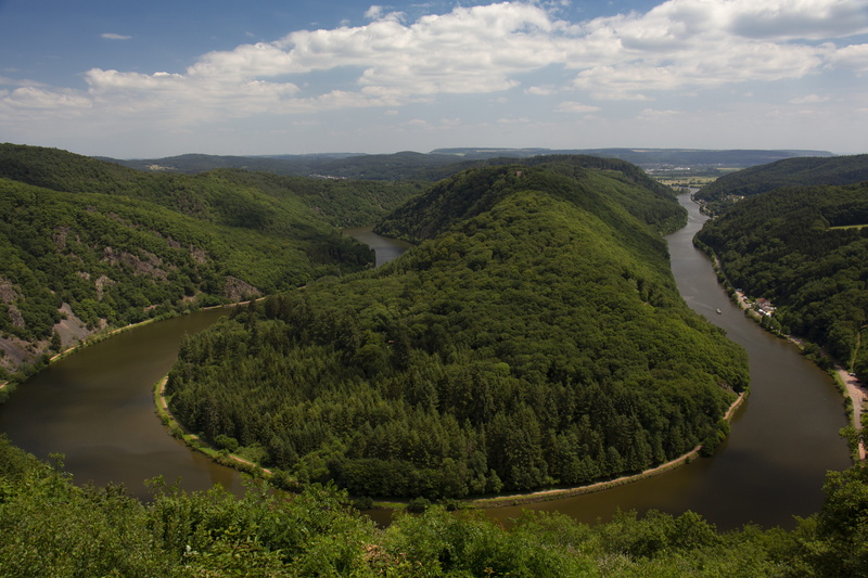 5K, saar, water, plant, sky, green color, outdoors, forest, day, growth, river, scenics - nature, saarland, river landscape, tranquil scene, idyllic, tranquility