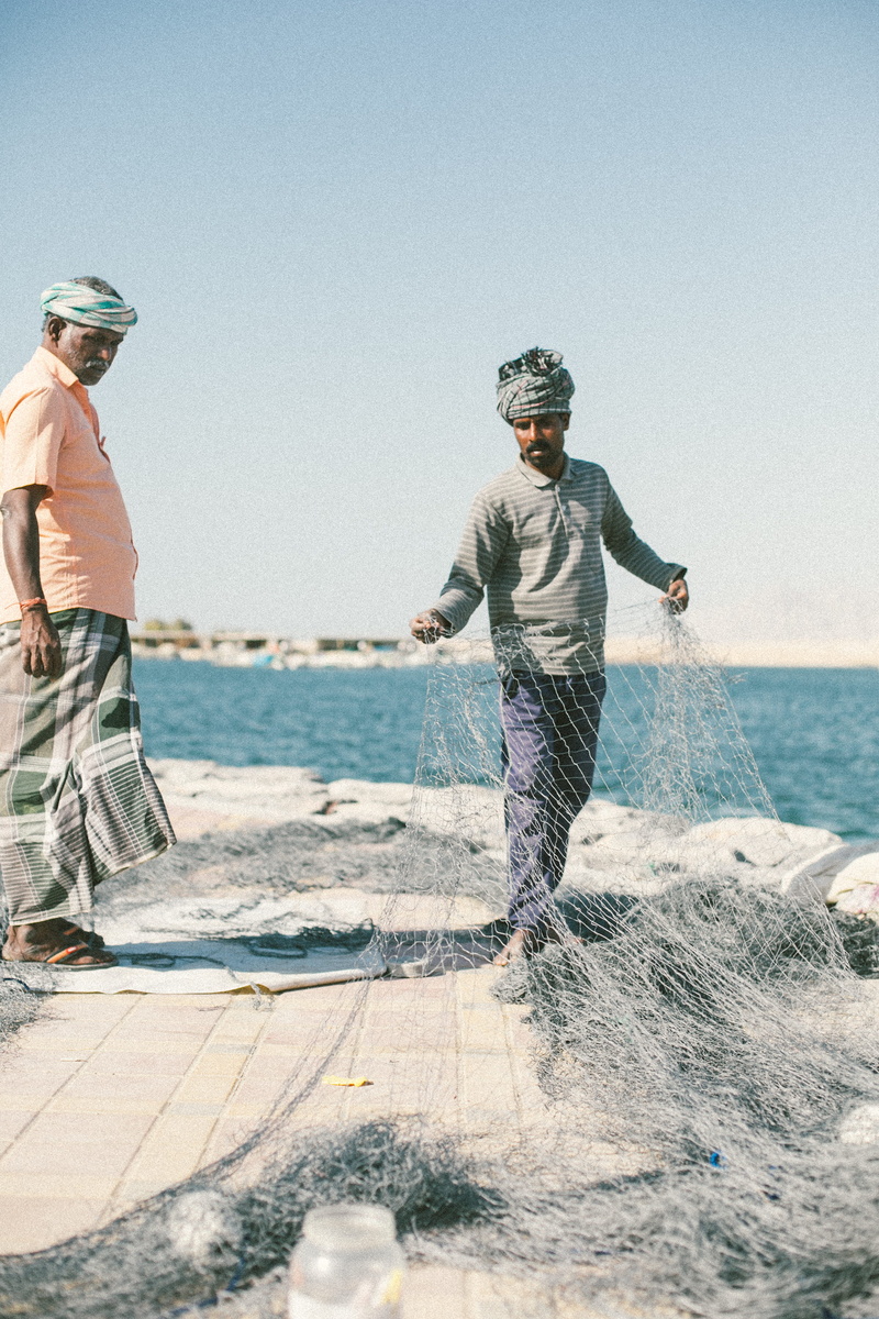 holding, man, people, fish, texture, land, near, men, net, water, beach, clear sky, rough, two people, casual clothing, two, worker, seafaring, lifestyles